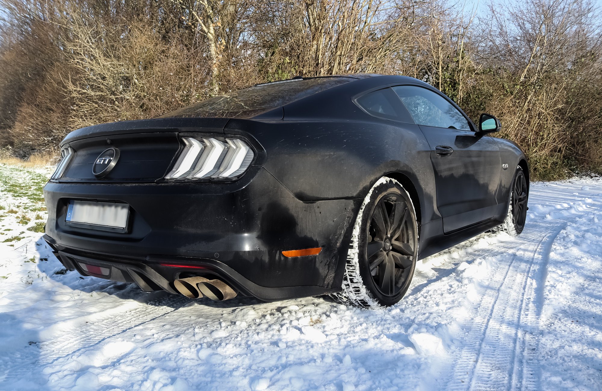 Mustang In The Snow